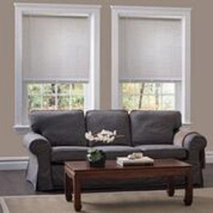 1" Economy Cordless Mini Blinds