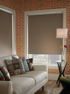 Economy Basic Blackout Roller Shades
