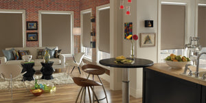 Economy Basic Blackout Roller Shades