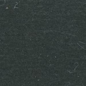 Black Single LF - 3/4