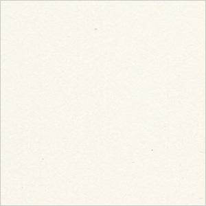 Color - Cream White -C