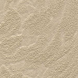Janine Sandstone - 3 1/2