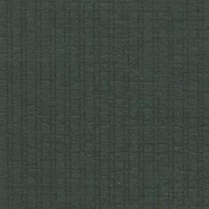 Color - Jasmine Green