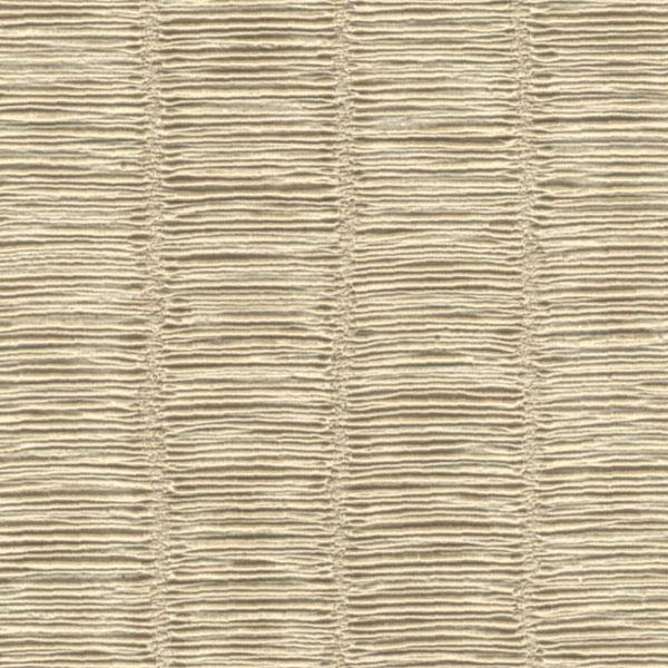 Color - Jenny Sesame