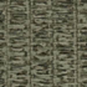 Color - Madelynn Molases