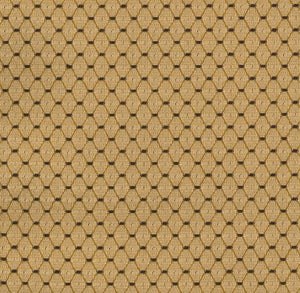 Pismo Sand - Classic Roman Shade Collection