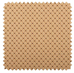 Color - Pismo Sand