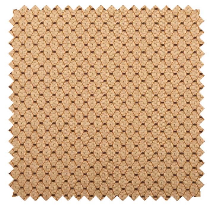 Color - Pismo Sand