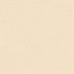 Sand Dollar Contemporary - Contemporary Roller Shades