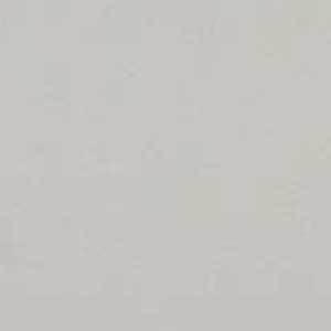 Squirrel Gray - 1