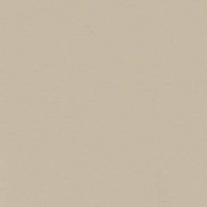 Color - Tan