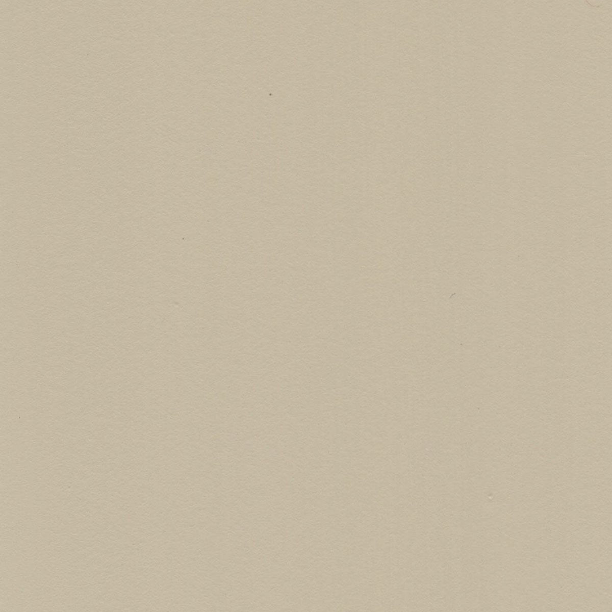 Color - Tan