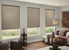 Load image into Gallery viewer, Classic Cordless Pleated Shades
