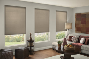 Simplistic Cordless Pleated Shades