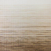 Load image into Gallery viewer, Madera Ivory Zebra - Zebra Roller Shades
