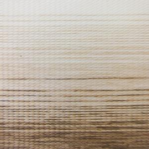 Madera Ivory Zebra - Zebra Roller Shades