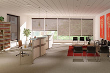 Load image into Gallery viewer, Classic Fabric Light Filtering Roller Shades
