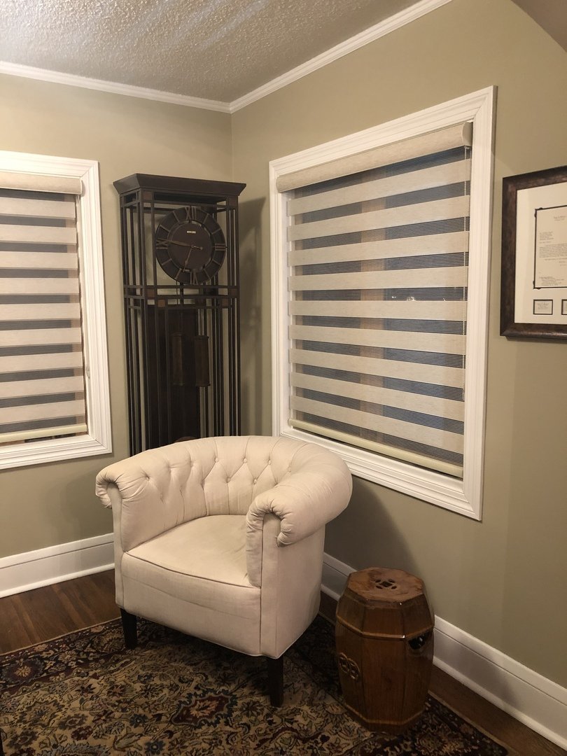 Light Filtering Zebra Roller Shades